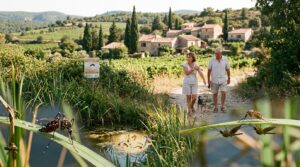 découvrez l'émergence de nouveaux foyers autochtones de chikungunya, dengue et virus du nil occidental dans le sud de la france et les implications pour la santé publique.